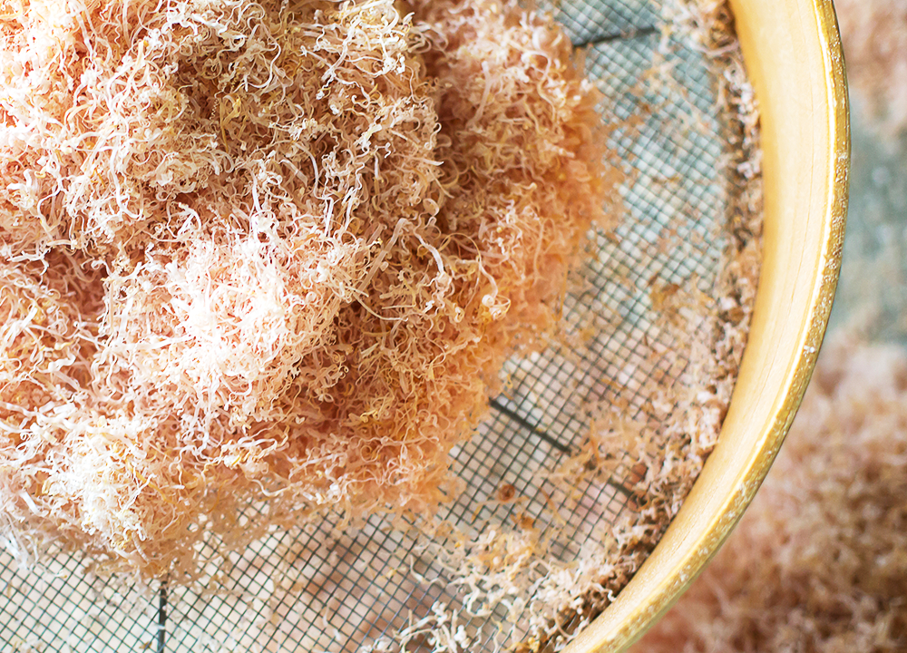 古式製法を支える、道具と人の変わらぬ関係。