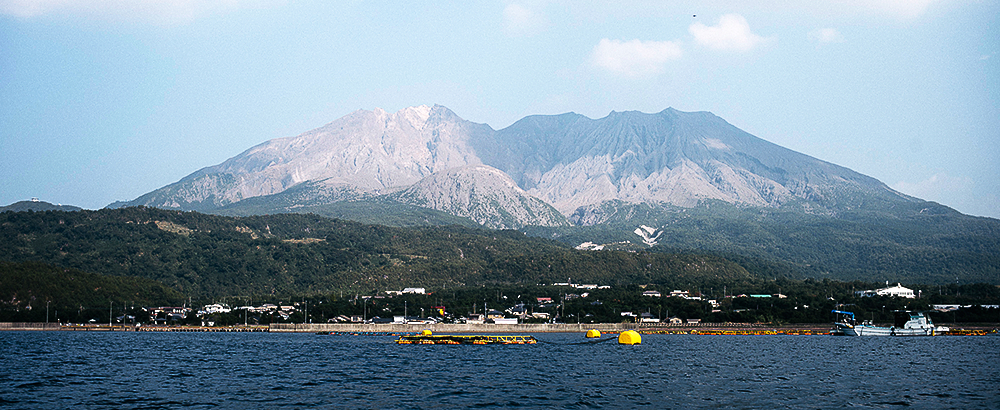 国内一貫生産。産地から選りすぐり、すべて無添加。