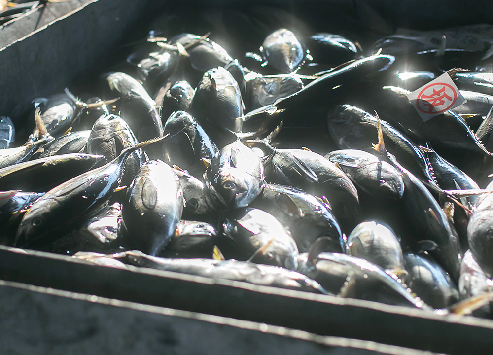 国内一貫生産。産地から選りすぐり、すべて無添加。