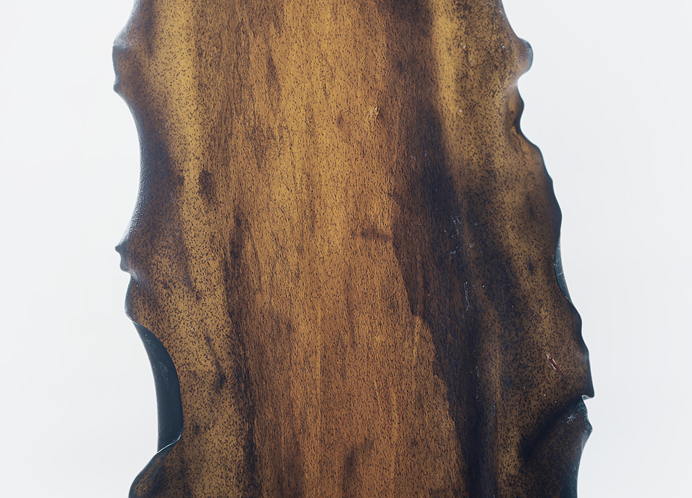 おだしに深みをもたらす、こだわり素材たち。